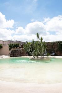 a small island with palm trees in the water at Hotel Samka in Salta