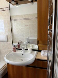 a bathroom with a white sink and a mirror at Villa Clelia in Auronzo di Cadore +27 photos