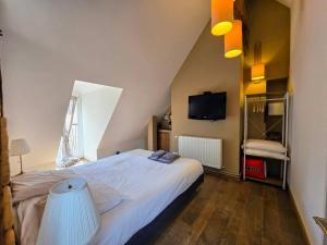 a bedroom with a large bed and a tv at Robillard 2 - Bail Partner in Auxerre