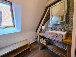 a bathroom with a sink and a mirror at Robillard 2 - Bail Partner in Auxerre +14 photos