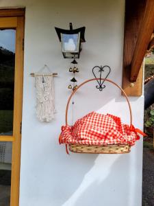 Ein Weidenkorb hängt mit einer Lampe an der Wand. in der Unterkunft Chalé Tekoá - Aroeira, Baraúna e Juazeiro in Córrego do Bom Jesus