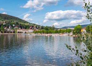 a view of a river with a town in the background at Escapade cosy proche nature in Saint Die