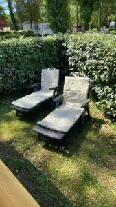 two benches sitting in the grass in front of a hedge at Numero 281 in La Tremblade +3 photos