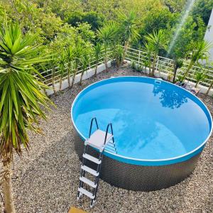 a hot tub with a ladder next to a palm tree at The Citrus House in Kalavárda