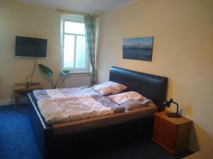 a bedroom with a bed and a window and a television at Ferienwohnung Schleich in Starkenberg