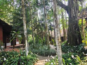 a garden with a gate in the middle of a forest at Twin Retreat in Madikeri
