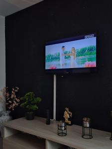 a flat screen tv on a black wall at STD AFRODITA Apartment & Garden in Vrdnik