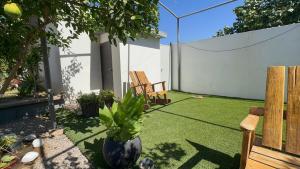a garden with a plant in a vase on the grass at Casa Completa in Rancho San Pedro
