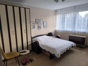 a bedroom with a bed and a chair and a window at Moj Mali Hotel in Valjevo