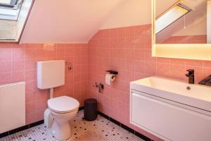 a bathroom with a toilet and a sink at Urlaubsapartment Südsicht in Ihringen