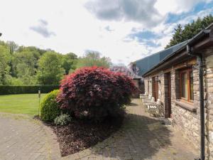 a large red bush next to a building at Riverside Barn in Gilwern