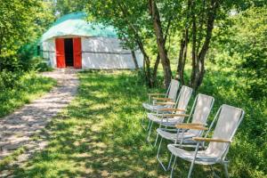 a row of chairs sitting in the grass near a tent at Arista Yurt Camp in Karakol
