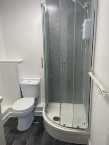 a bathroom with a toilet and a glass shower at Jayden house in Middlesbrough
