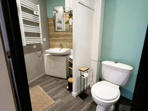 a small bathroom with a toilet and a sink at Studio de l'étoile in Bavans +15 photos