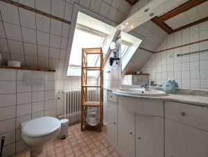 a bathroom with a toilet and a sink and a window at Nordseehof Reitz in Friedrichskoog +158 photos