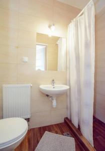 a bathroom with a sink and a toilet at Willa za Wodą in Zakopane +8 photos
