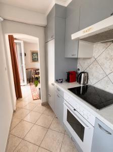 a white kitchen with a sink and a stove at Cà di Gabriel in Miglieglia