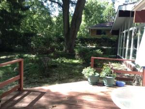 a patio with two potted plants on it at Charming Bedroom with Private Bathroom in Ann Arbor