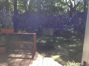 a view of a yard with a wooden deck at Charming Bedroom with Private Bathroom in Ann Arbor +3 photos