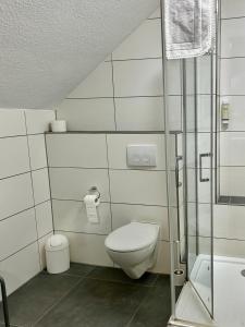 ein Badezimmer mit Toilette und Dusche in der Unterkunft Hotel Spitze Warte in Rüthen