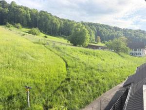 a grassy hill with a house on the side of it at Apartment in Reigoldswil in Reigoldswil