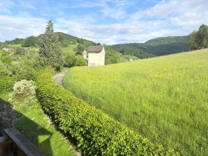 a field of green grass with a house in the distance at Apartment in Reigoldswil in Reigoldswil