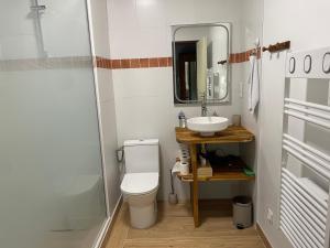 a bathroom with a toilet and a sink at La maison de Laujol in Moissac +31 photos