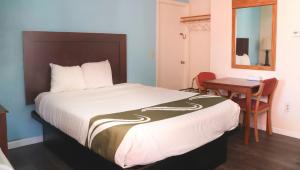 a hotel room with a bed and a desk and a mirror at Chippewa Motel Mount Pleasant in Mount Pleasant