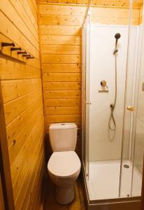 a small bathroom with a toilet and a shower at Miodowe Domki in Władysławowo