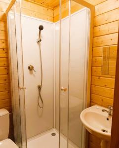 a bathroom with a shower and a sink at Miodowe Domki in Władysławowo