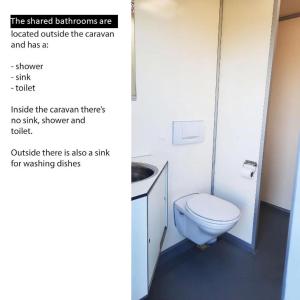 a bathroom with a white toilet and a sink at Caravan De Rozenbottel in Hensbroek