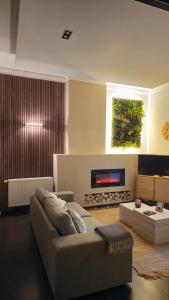 a living room with a couch and a fireplace at LA SUITE 159 in Namur
