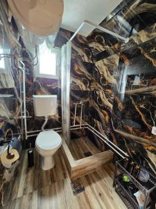 a bathroom with a toilet and a wall covered in logs at Cottage Martina in Žabljak +37 photos