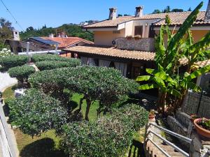 a garden of trees and bushes in front of a house at Favola B&B in Pescara