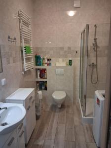 a bathroom with a toilet and a shower and a sink at Apartament Perła Bałtyku in Grzybowo +36 photos