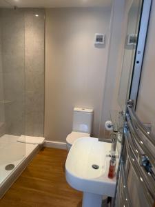 a bathroom with a toilet and a sink and a shower at Pinfold Holiday Cottage in Laxey