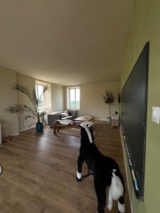 a dog standing in a living room looking at a tv at Cercy in Cercy-la-Tour
