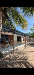 a building with a palm tree in front of it at Lohana's House Beach in Cartagena de Indias