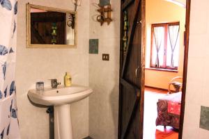 a bathroom with a sink and a mirror at B&B Pian Savin in Giaveno