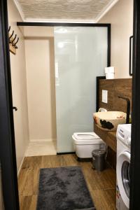 a bathroom with a toilet and a sink at Nessii Apartment in Prishtinë