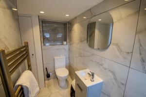 a bathroom with a toilet and a sink and a mirror at Rye Hideaway with Hot Tub - Rye in Rye