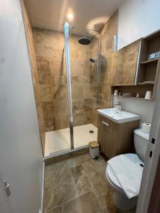 a bathroom with a shower and a toilet and a sink at Ancien hôtel du Thaurion in Saint-Hilaire-le-Château