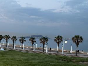 a row of palm trees on a sidewalk next to the beach at Alamine plage in Fnidek
