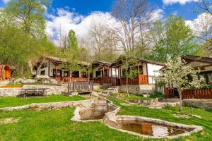 a house with a yard with a pond at Carpatia Retezat in Clopotiva