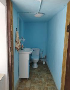 a blue bathroom with a toilet and a sink at Casa Maria in Ciocaşu