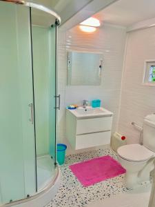 a bathroom with a shower and a sink and a toilet at appartement T2 cosy avec piscine in Baie-Mahault