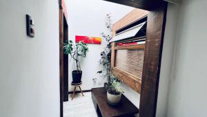 a hallway with potted plants and a mirror at House 78 in Coquimbo