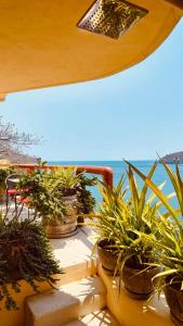 a group of potted plants sitting on a patio at Espuma Hotel - Adults Only in Zihuatanejo