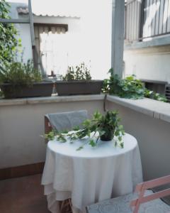 a table with a white table cloth and a plant at QUART0 GREC0 Suite 17 in Altamura