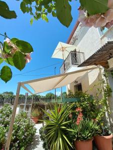 a patio with an umbrella and some plants at B&B La Ciammaruca in Pollutri